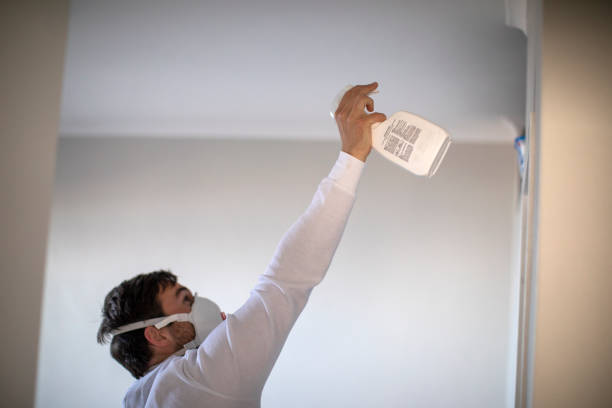 Best Commercial Mold Remediation in El Dorado Hills, CA