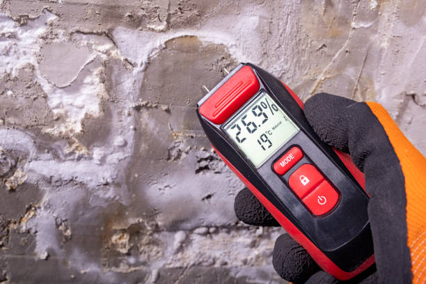 Best Industrial Mold Remediation in El Dorado Hills, CA