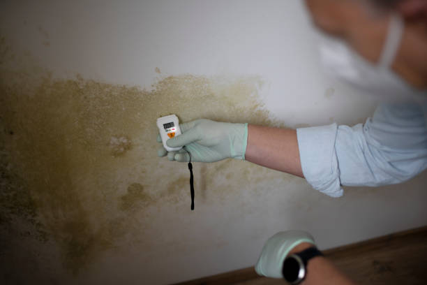 El Dorado Hills, CA Mold Remediation Company